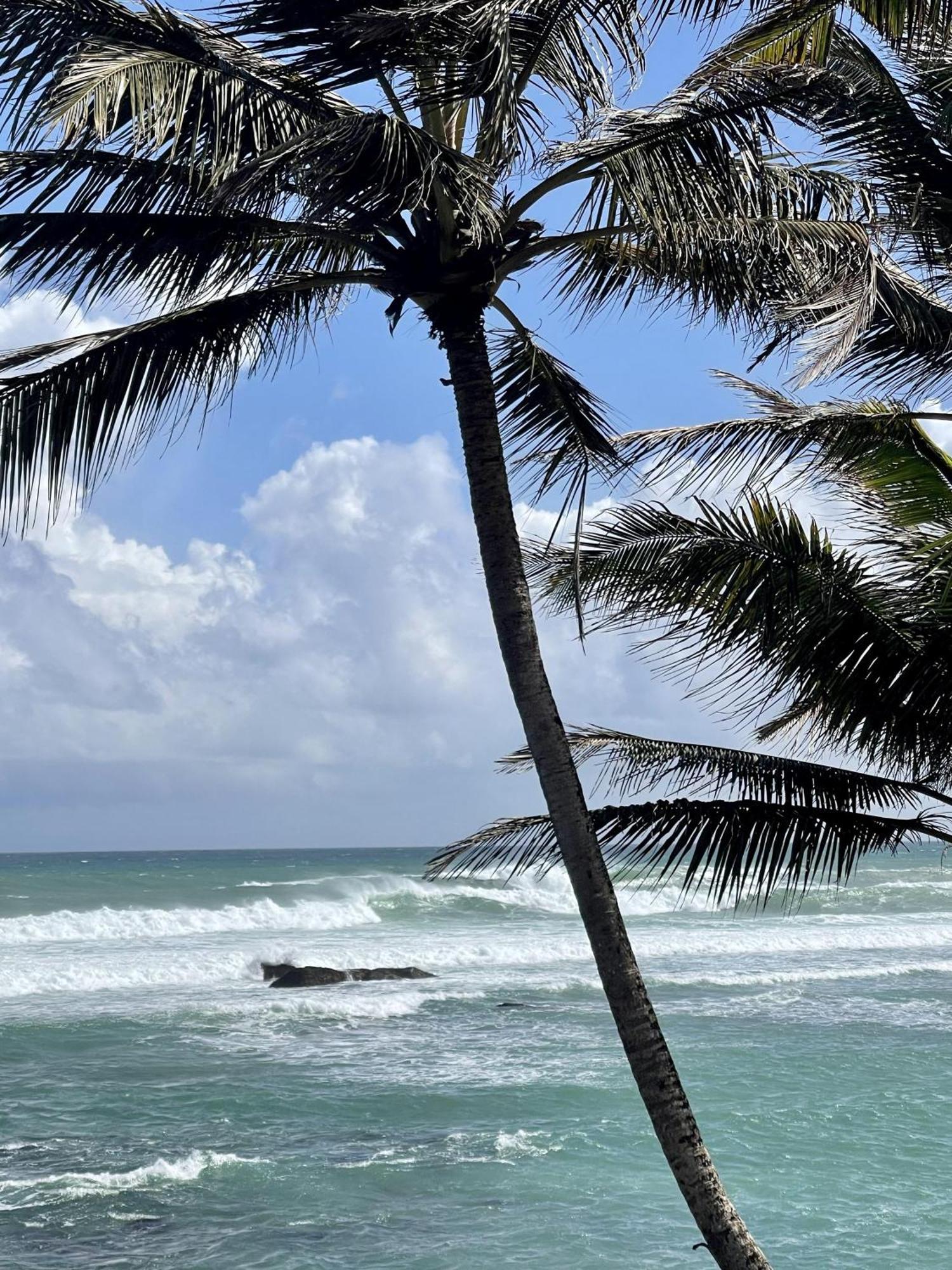 D' Art Villa Retreat And Spa Tangalle Kültér fotó