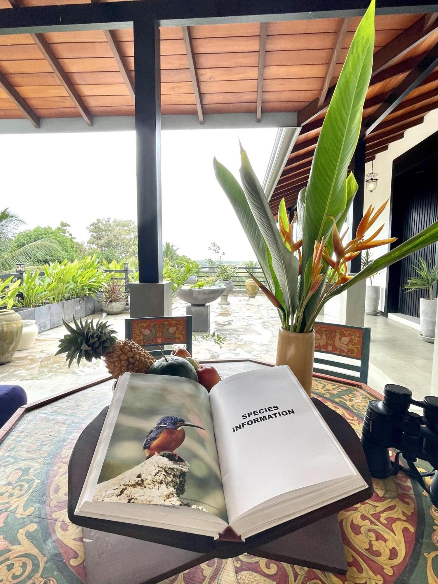 D' Art Villa Retreat And Spa Tangalle Kültér fotó